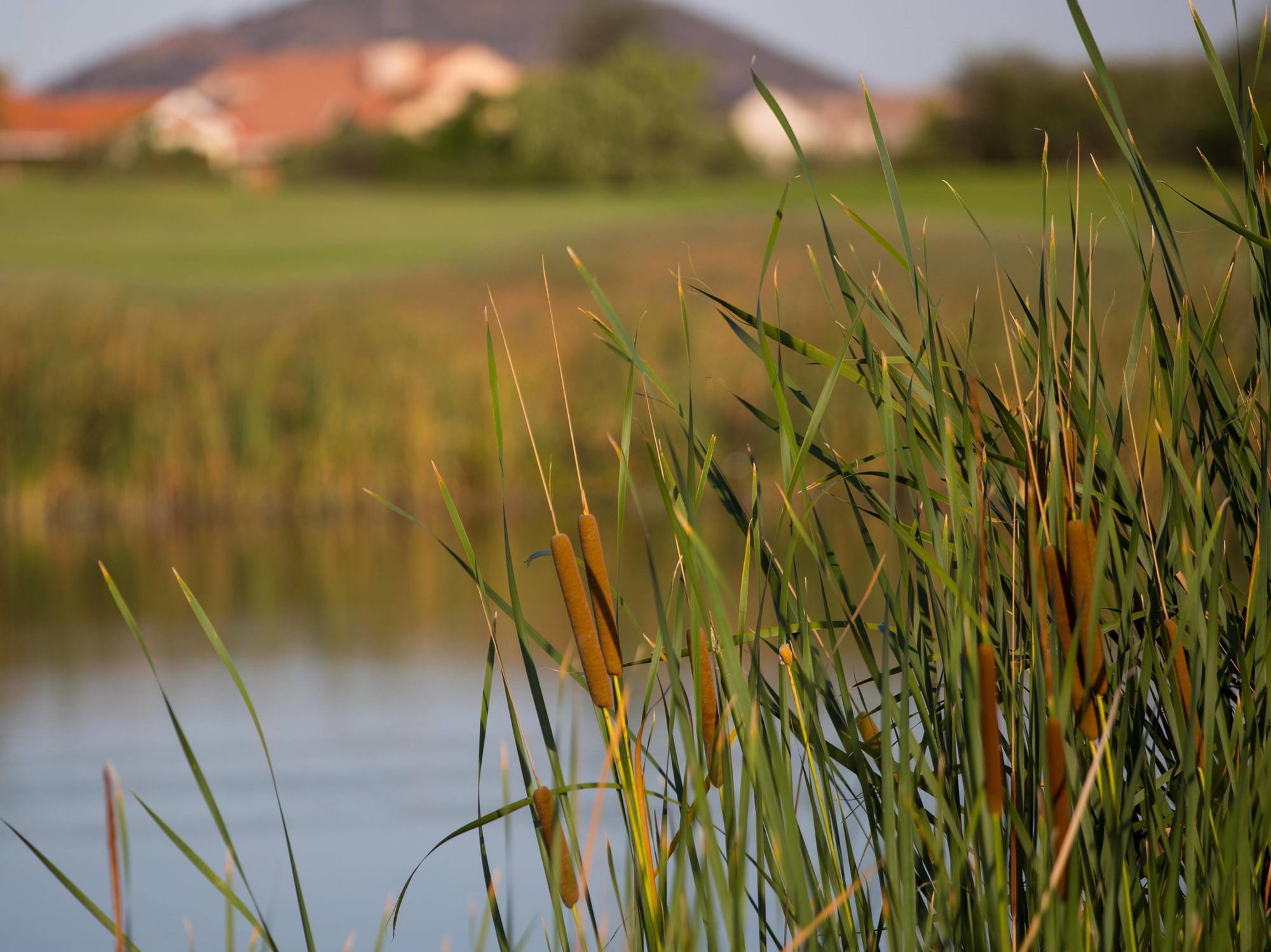 Phakalane Golf Estate Hotel Resort Gaborone Kültér fotó